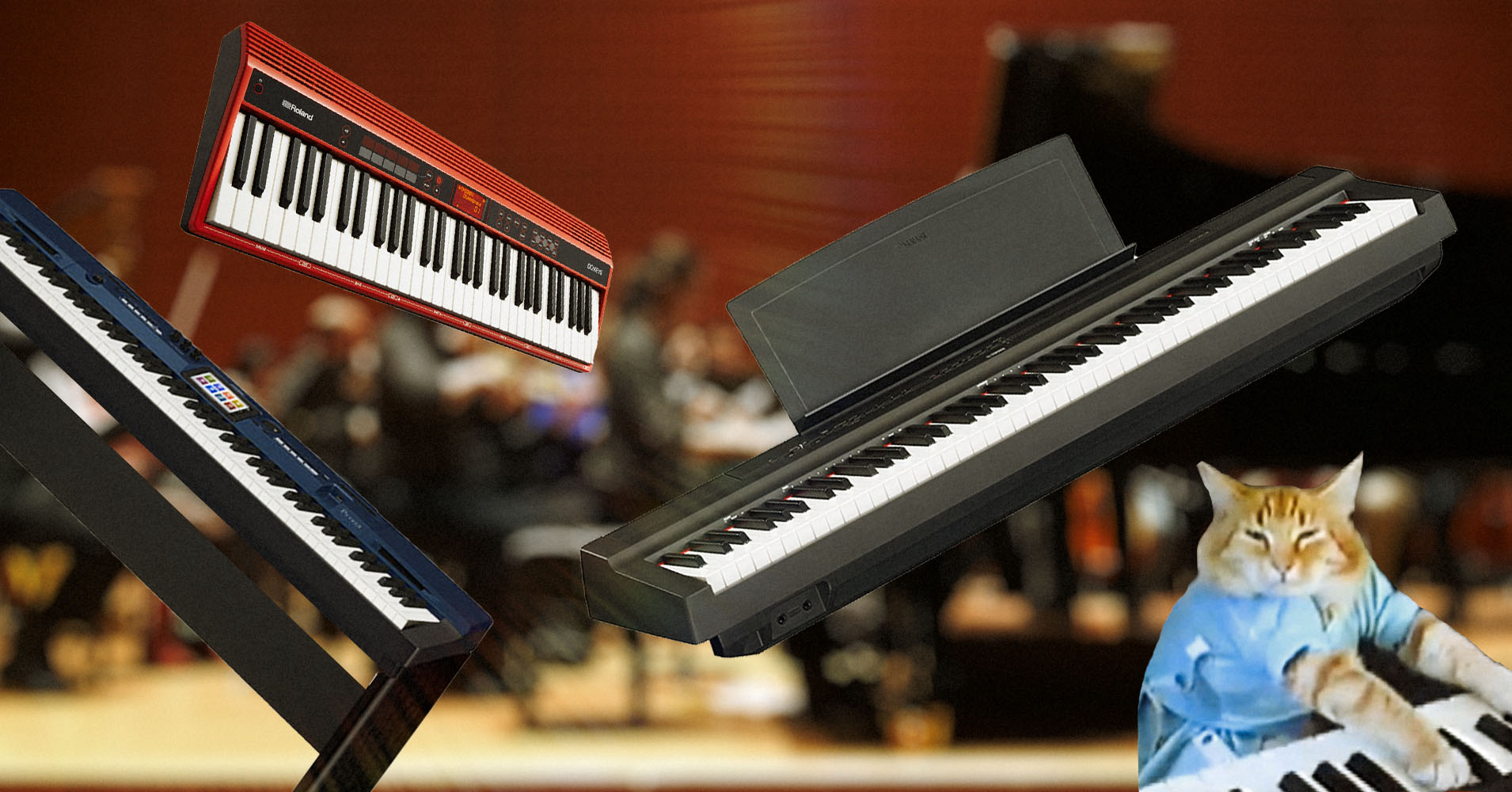 Weighted Digital Pianos for Sale: The Best Options for Piano Players